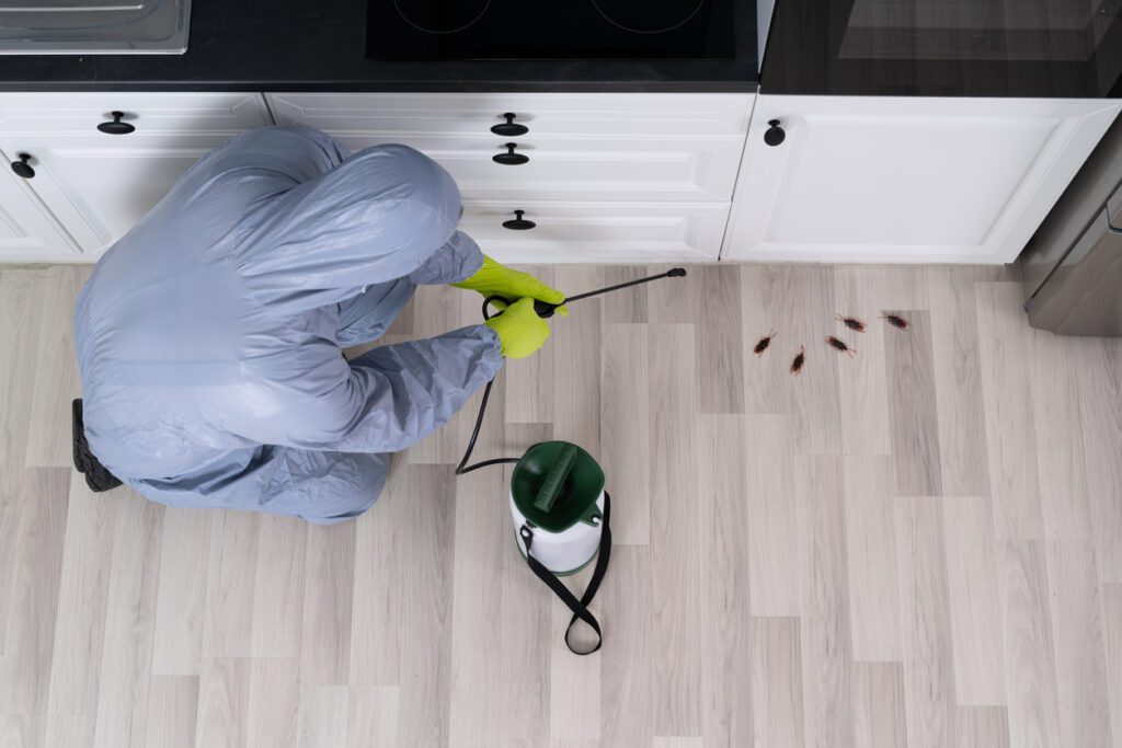 Pest Control High